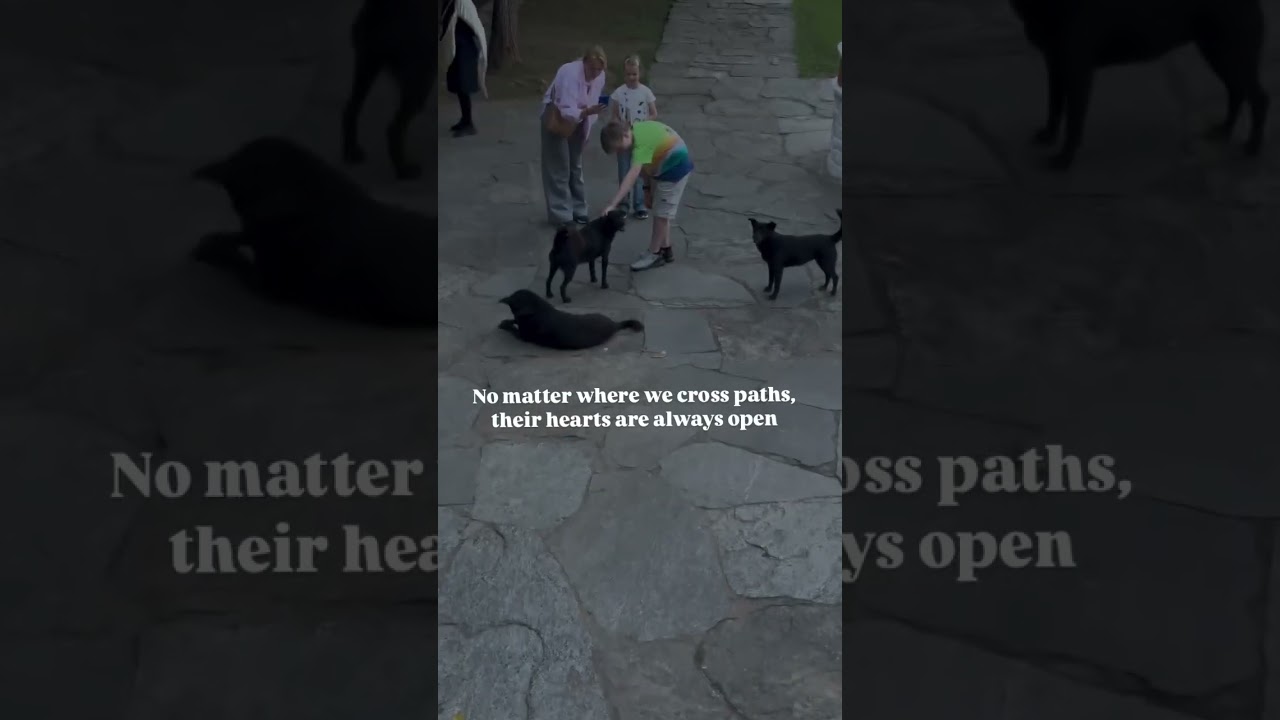 In a changing world, their love is constant! 