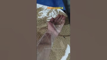 What I Learned from Using a Floating Fish Feed Pellet Production Line #challenge #fish #farming