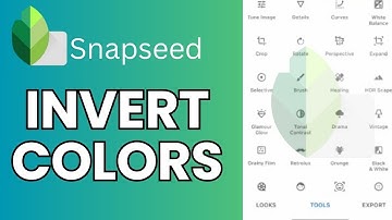 How to Invert Colors in Snapseed 2024?