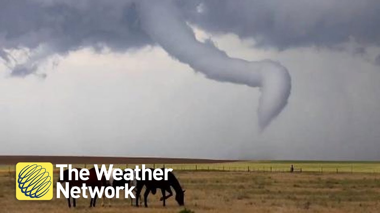 horseshoe bend Horses unaffected by tornado spinning in the background