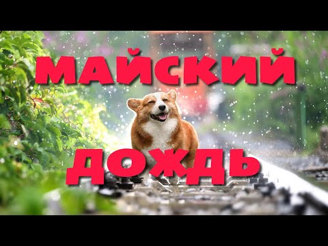 Майский дождь