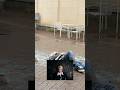 #RideorDie MV Raw Footage ???????? #EVAN #에반 #RIDE_OR_DIE
