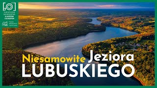 💦 NIESAMOWITE JEZIORA LUBUSKIEGO