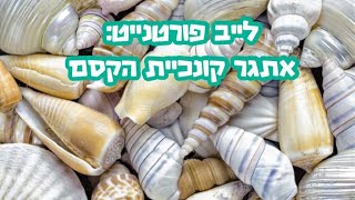 לייב פורטנייט: אתגר קונכיית הקסם🐚(קשה בטירוף( screenshot 2