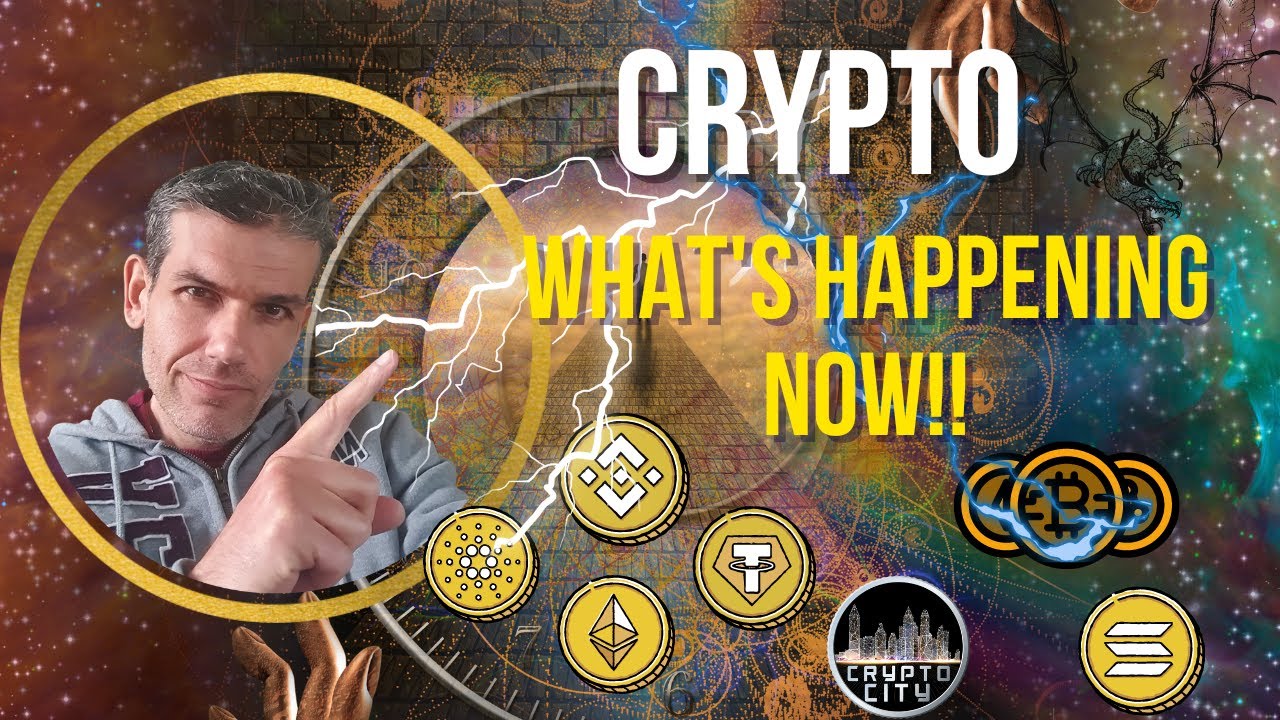 Crypto whats happening wolf girl crypto