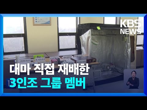 재벌 3세에 3인조 가수 그룹 전 경찰청장 아들까지 대마 사범 17명 기소 KBS 2023 01 26 