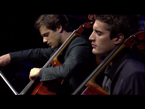 2CELLOS   Benedictus by Karl Jenkins LIVE at Arena Zagreb