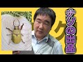 【ヤフオクの闇】ありえない出品生体に迫る！