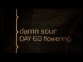 Damn Sour - Green House Grow Sessions