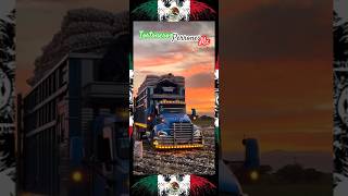 Cebolleros Perrones Carro Torton Kenworth T370 Cargando Cebolla Casi Listo Para El Despegue