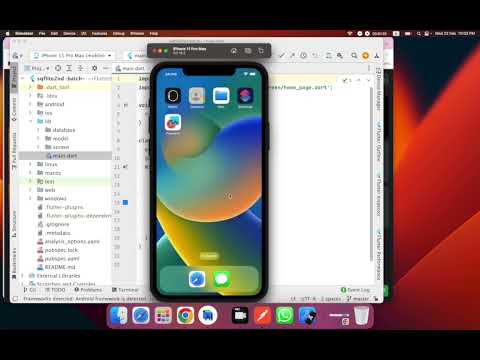 Lesson 18: Flutter