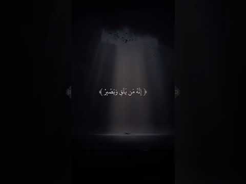 قال هل علمتم مافعلتم بيوسف واخيه صوت رائع