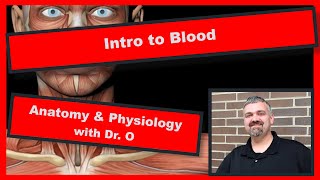Introduction to Blood:  Anatomy and Physiology