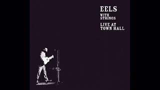 Watch Eels I Could Never Take The Place Of Your Man live At Town Hall video