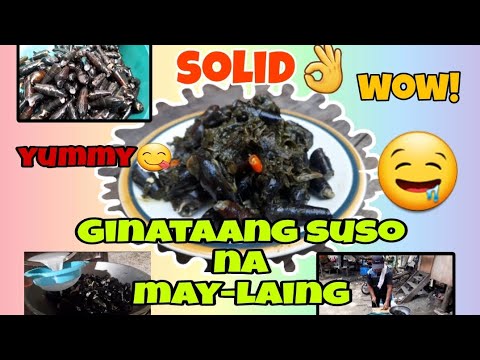 Ginataang suso na may laing🤤😋 - YouTube