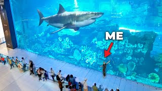 Shark Attack : Tube through an Aquarium : Atlantis The Palm in Dubai