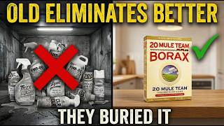 The Ancient Powder That Helps Kill Mold and Mildew — And Why Cleaning Brands Buried It