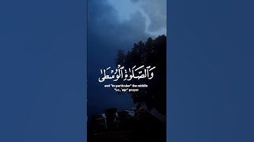 حافظوا على الصلوات والصلاة الوسطى وصلاة العصر وقوموا لله قانتين - صلاح بو خاطر..سورة البقرة