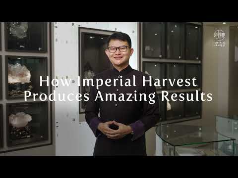 What Sets Imperial