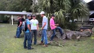 Dixie Harlem shake
