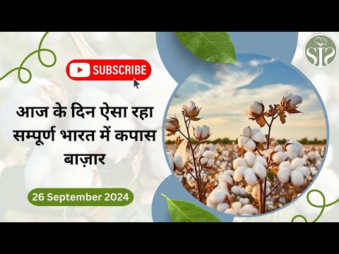 आज के दिन ऐसा रहा सम्पूर्ण भारत में कपास बाज़ार 😀 aaj ka kapas ka bajar bhav cotton rate today #kapas