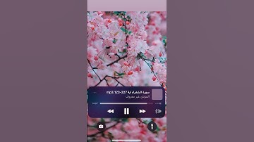 تلاوة من #سورة_الشعراء  || #القارئ_ادريس_ابكر (وتوكّل على العزيز الرحيم)
