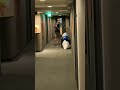1番怖い先生出てきて諦めてスンッて歩き出すの草 #修学旅行