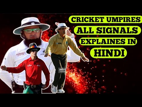 Cricket umpire signals | umpire signals in cricket | cricket rules |