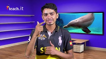 how to edius 6 free download in install urdu in hindi By MunawarALi