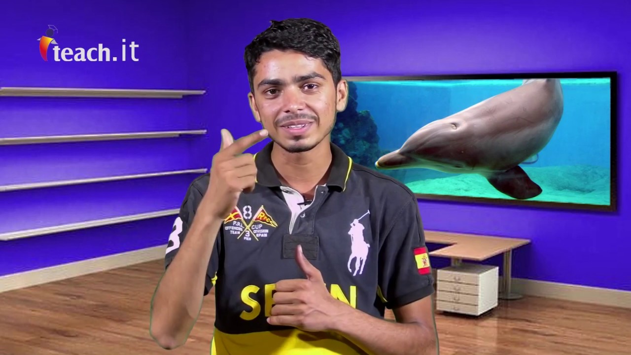 how to edius 6 free download in install urdu in hindi By MunawarALi