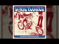 Sonic flower  black sheep  heavy psych sounds records