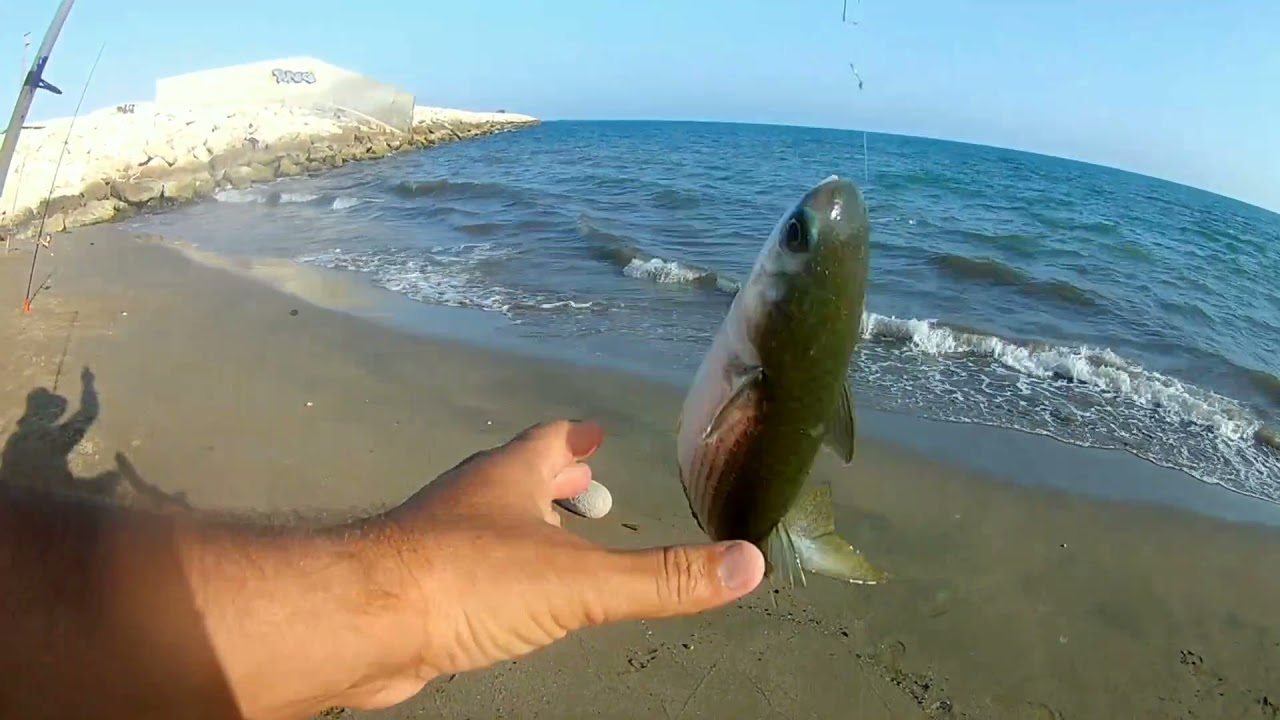 Levreği aratmayan kefaller balık avı Mersin