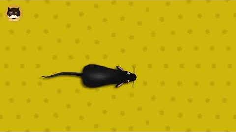 CAT yellow MOUSE LOOP