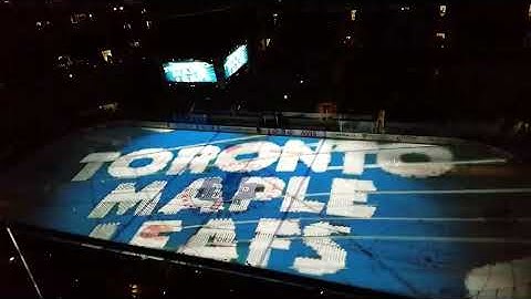3D On Ice Projection