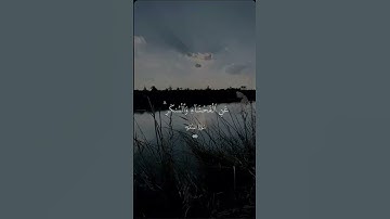 إن الصلاة تنهى عن الفحشاء والمنكر #القارئ_عبد_الرحمن_مسعد #راحه_وطمأنينه_للقلب #قرآن #لايك_للمقطع