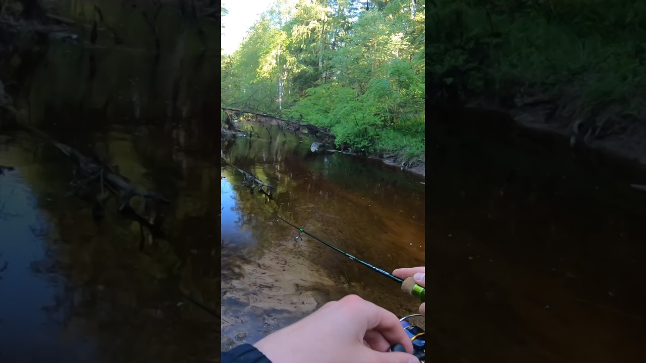 Монстр малой реки - микрушка!💥🔥 #воблера #река #форель #рыба #рыбалка # ...
