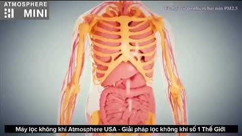 Tác hại của ô nhiễm bụi mịn PM2.5