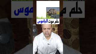 تفسير حلم رؤية موت الجاموس في المنام | محمود منصور