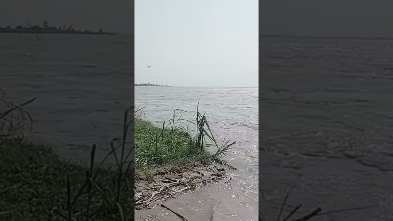 Indus river flood . Sindh River 