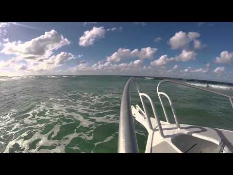 Wideo: W Pogoni Za Rybami Na Fraser Island, Queensland [zdjęcia] - Matador Network