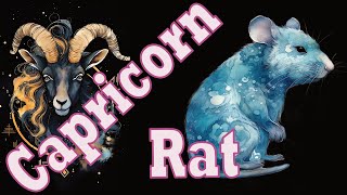 Capricorn Rat Discussion