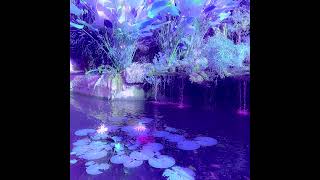Zyxq - Lilac