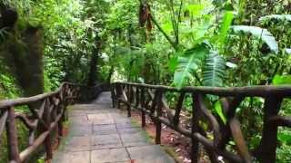 Costa Rica Cinematic (Pura Vida)