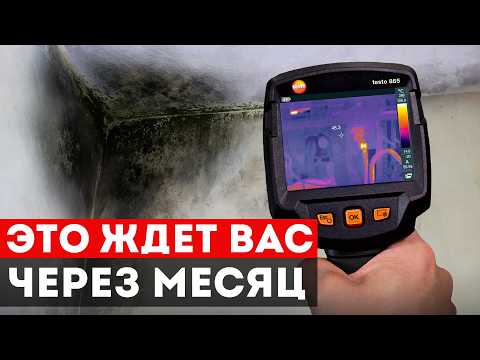 Избегай 5 ошибок или твой новый дом быстро сожрет плесень!