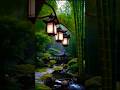 Вечность слышна между нотами #nature #musik #music
