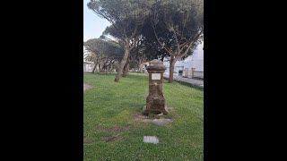 CONCENTRACIÓN EN LOS PINARES