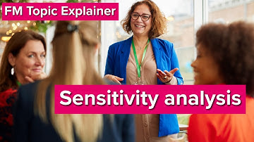 FM Topic Explainer - Sensitivity Analysis