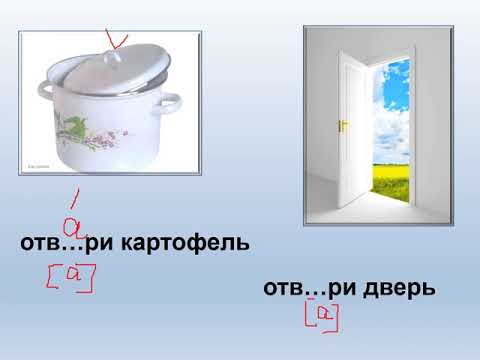 3 б рус 14 дек Омонимы видео