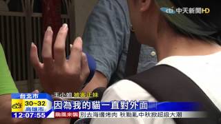 20150926中天新聞　正妹愛貓對外狂叫　驚見男子爬窗偷窺