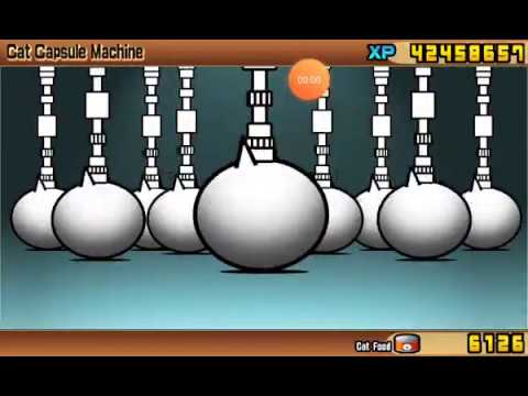 Lots of cat tickets! - YouTube